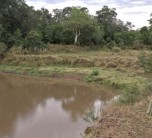 Dining with river views at Governors' Private Camp in the Masai Mara