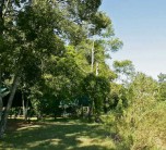 Exterior views of Governors' Private Camp in the Masai Mara