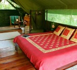 Interior views of a Guest Room at Governors' Private Camp