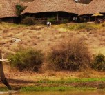 Exterior views of Tortilis Camp in the Amboseli Region of Kenya